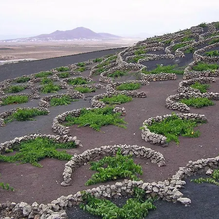 Casa El Gallo Country house Teguise (Lanzarote)