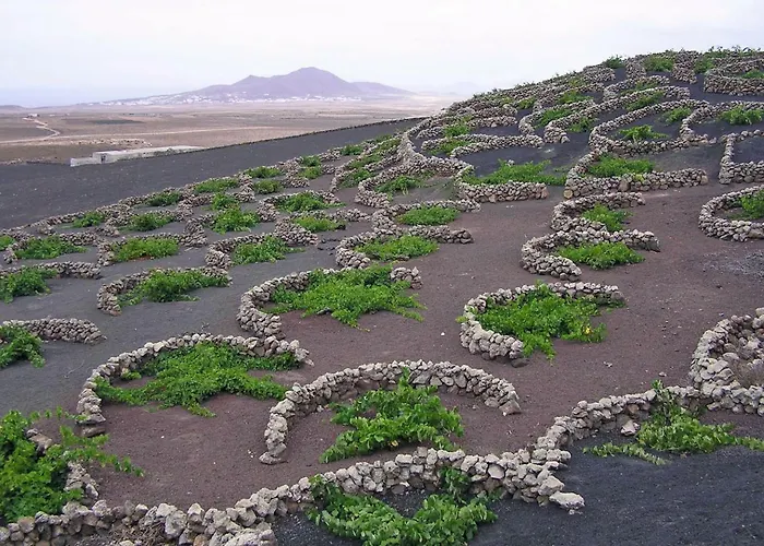 Casa El Gallo Landsted Teguise (Lanzarote)
